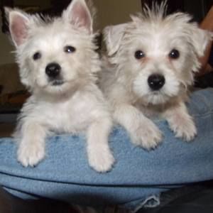 Meet your Posher, Paula